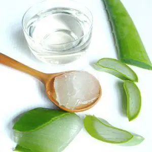 photo_2025-09-01_17-52-06 (2).webp