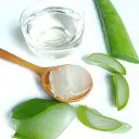 photo_2025-09-01_17-52-06 (2).webp