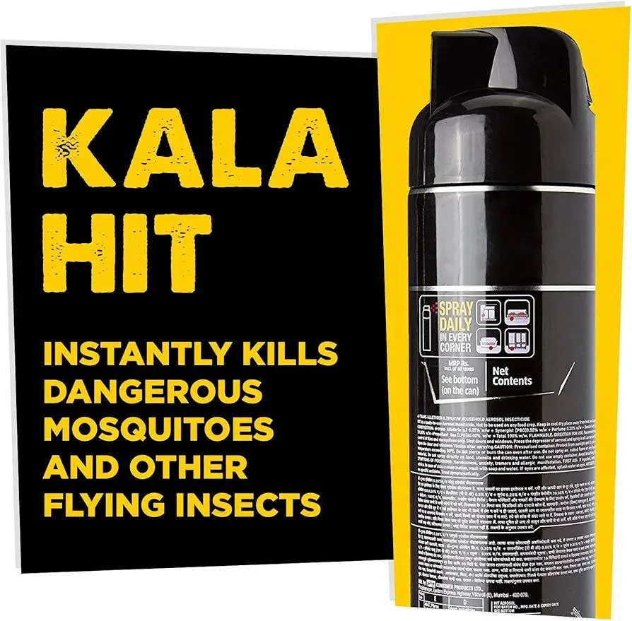 photo_2025-09-16_12-01-44 (2).webp