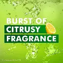 photo_2025-09-18_12-53-00 (1).webp