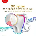 C5.webp