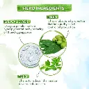 4.webp