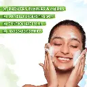 3.webp
